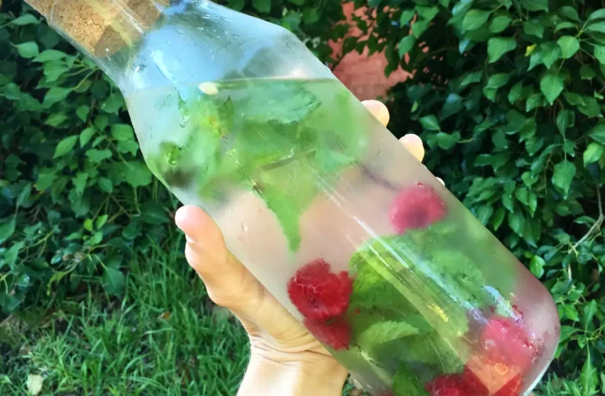 Água Detox de Framboesa e Limão: Para Hidratação e Funcional