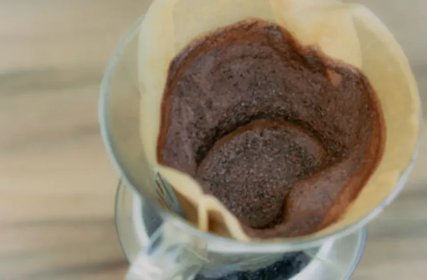 A borra de café que você joga fora pode ser mais útil do que imagina: 5 usos surpreendentes